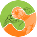 Algorithm icon