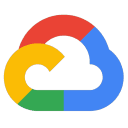 infer_google_vision_logo_detection